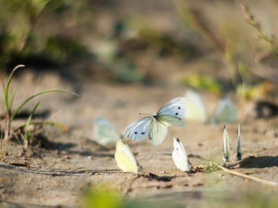 The Isolation of Loss: Becoming That Statistic More Than Once Image